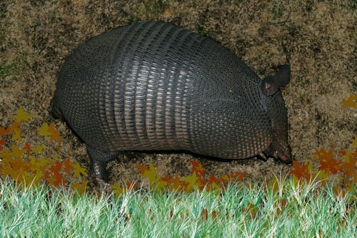 Armadillo